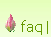 frequently asked questions